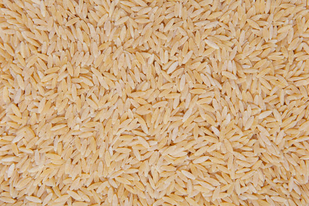 istock Heaps of uncooked barley vermicelli. 1386816296