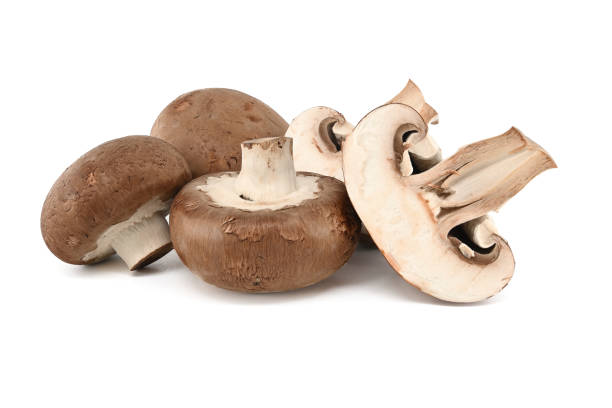 istock Fresh whole crimini (Baby Bella) mushrooms 1386818886