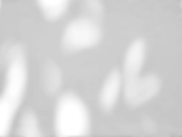 istock Abstract shadow of leaves on a white wall background 1386821201