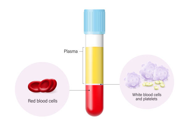 skład krwi. osocze, czerwone krwinki, białe krwinki i płytki krwi. - wbc stock illustrations