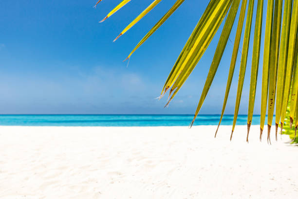 Beautiful view on the beach at Maldives. Copy space.