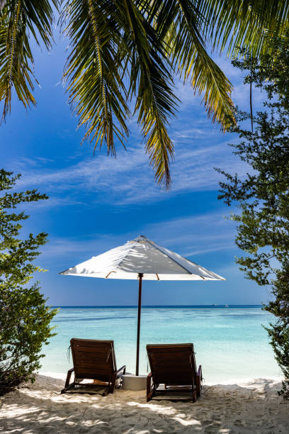 istock Back view of deck chairs with sun umbrella on the beach. 1386823865