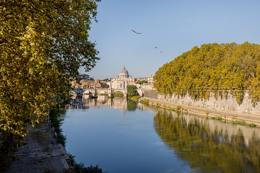 Landscape of Tiber river and green surroundings at sunny morning in Rome. Dome of famous saint Peter basalica on the skyline. Traveling Italy