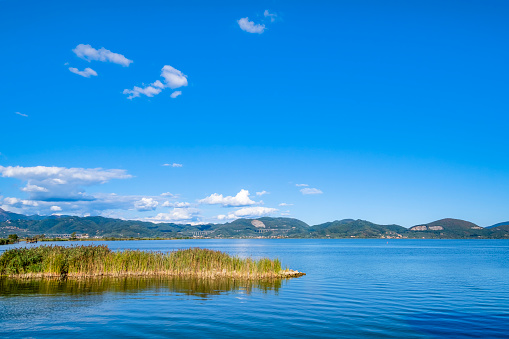 Lake Massaciuccoli is part of the Migliarino, San Rossore, Massaciuccoli Nature Park and is a LIPU bird sanctuary