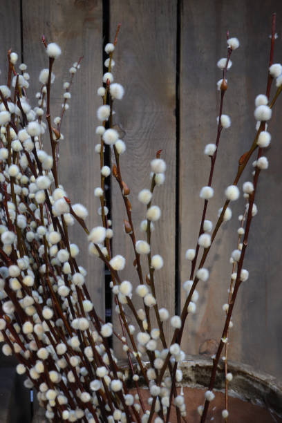 istock Long flowering willow branches standing in a large ceramic vase on a wooden board background 1386827203