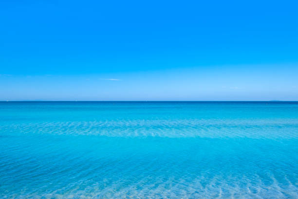 istock White beach of Rosignano Solvay (Tuscany, Italy) 1386827678
