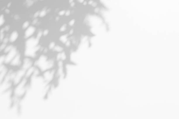 istock Abstract shadows of a plant with leaves 1386836279