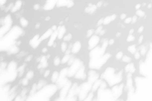istock Abstract shadows of a plant with leaves 1386836283