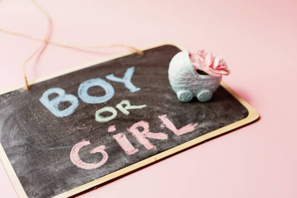 Gender reveal party decorations