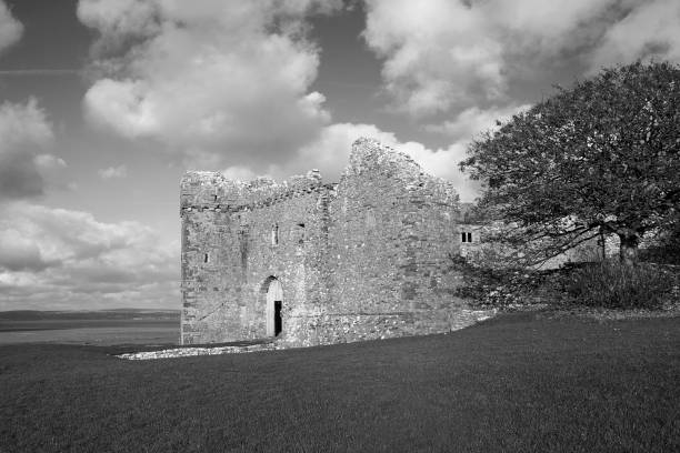 istock Weobley Castle - in monochrome 1386838861