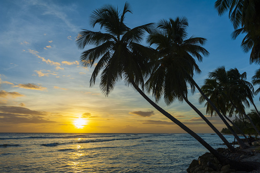 Beautiful sunset over the sea with a view at palms on the white beach of Ngapali, Myanmar