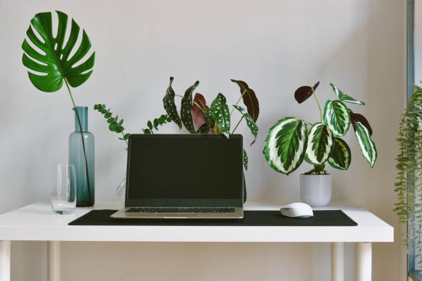 istock Home office decorate with green nature tree plants, Workspace and laptop computer on desk, Artificial houseplant for home and living room interior. 1386840574