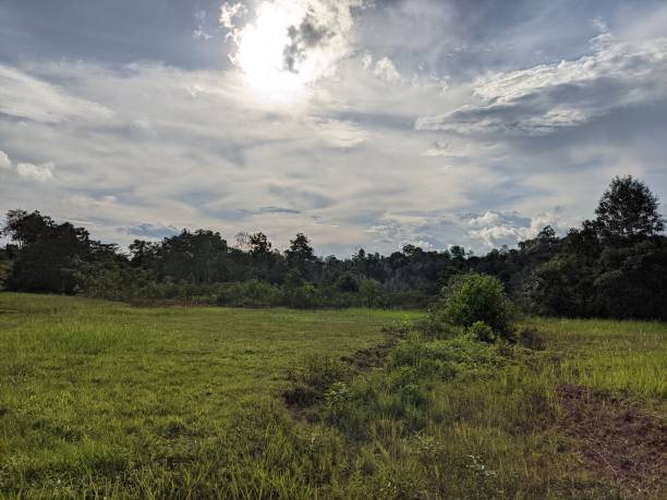 istock beautiful natural scenery photo 1386842478