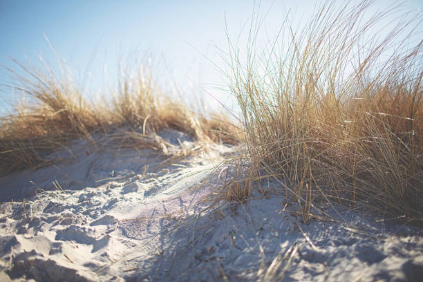 istock At the Baltic Sea on sunny day 1386848130