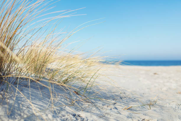 istock At the Baltic Sea on sunny day 1386850216