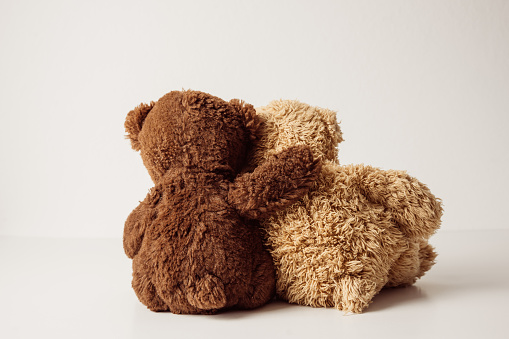 togetherness, hope, friendship, plush, brown, childhood, white background