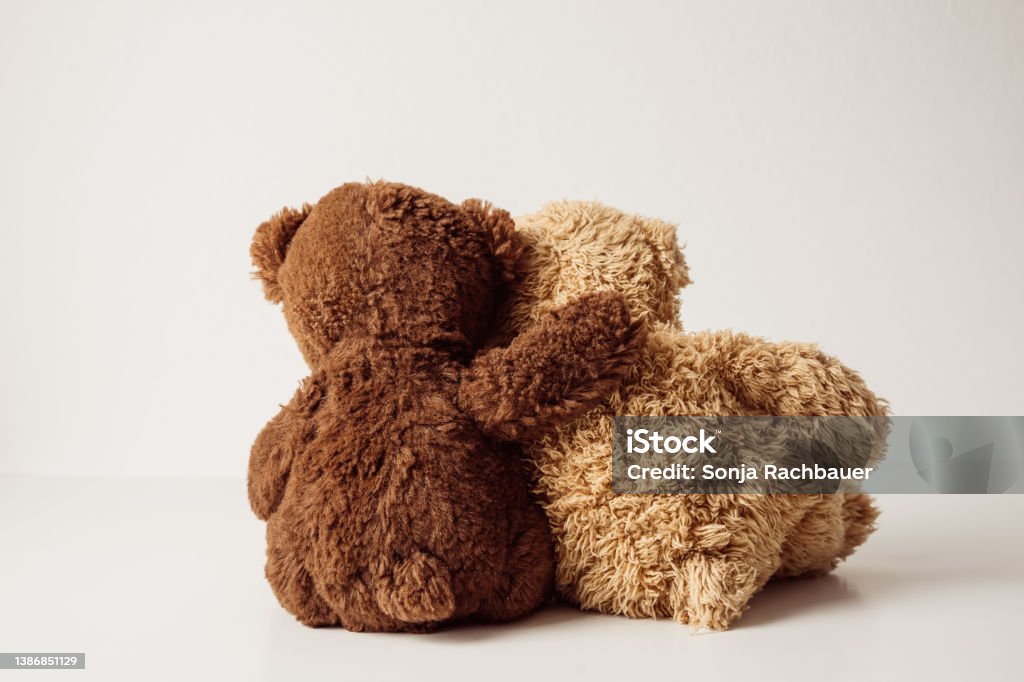 Rear view of two sitting teddy bears in hug togetherness, hope, friendship, plush, brown, childhood, white background Consoling Stock Photo