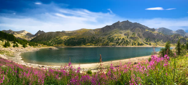 allos lake in the morning during summer time - mercantour national park imagens e fotografias de stock