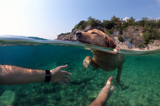 istock I reach you! 1386854633
