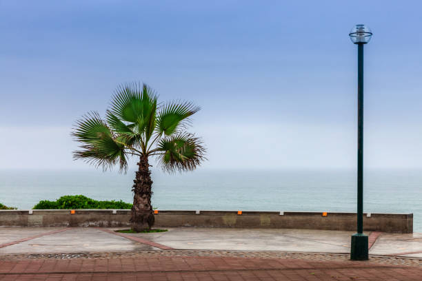 istock park on the shores of Pacific Ocean 1386855340