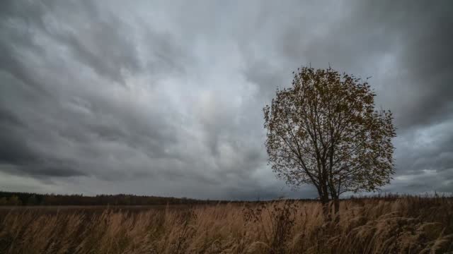 Gloomy autumn landscape time-lapse