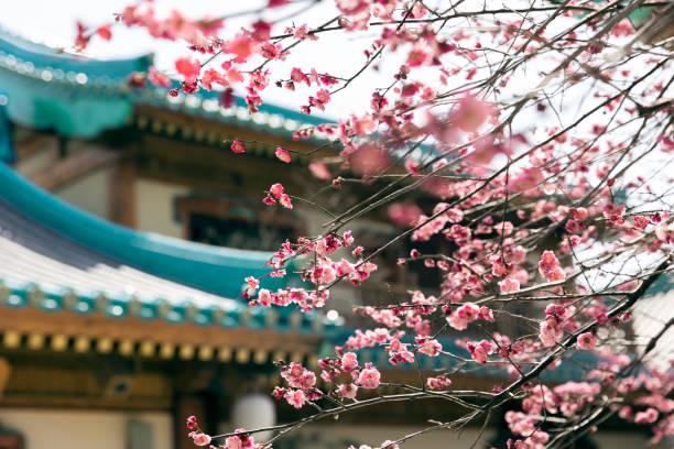 istock Pictures about Chinese culture 1386859812