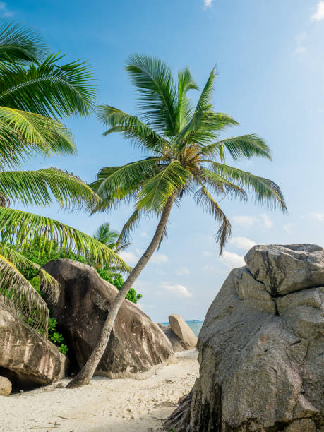 istock Anse Source d'Argent beach on La Digue island, Seychelles 1386864072