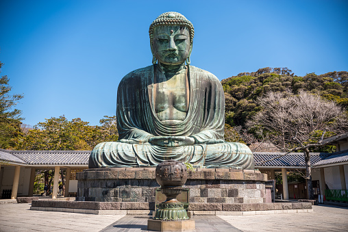 April 2, 2019 - Kamakura, Japan: Originally housed in a hall that was destroyed twice in the 14th Century, the great Buddha at Kotoku-in Temple dates from 1252 during the Kamakura Period.