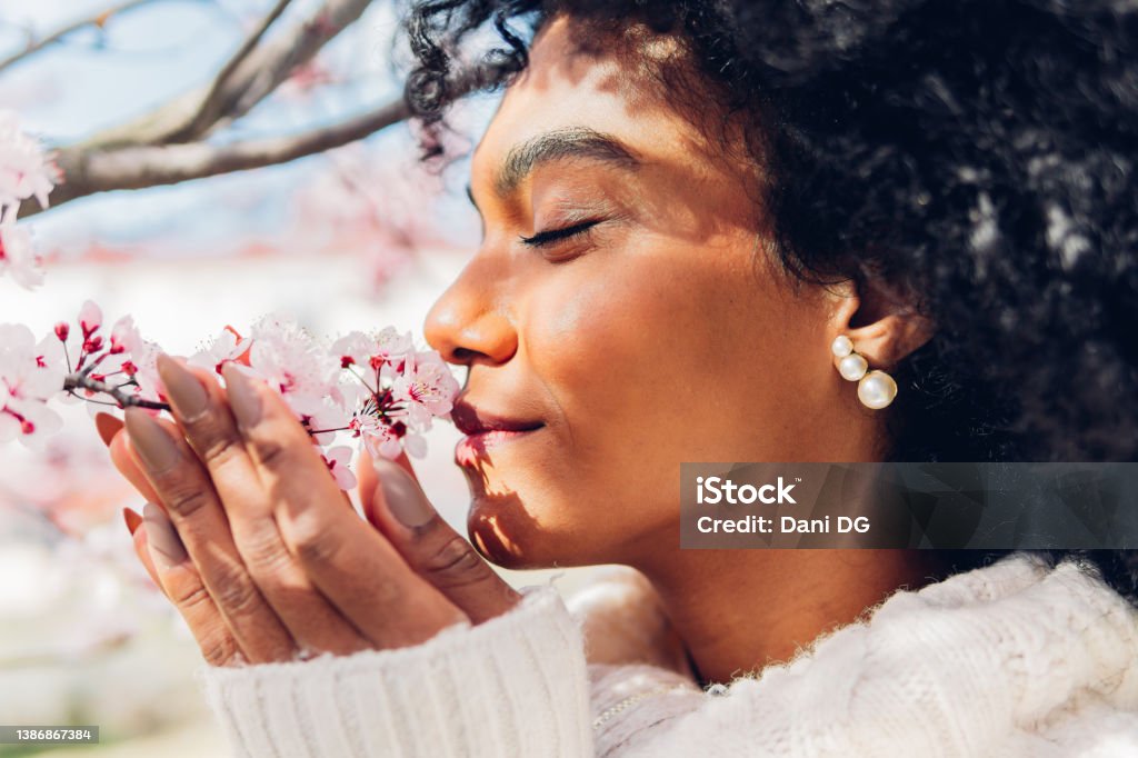 Beautiful African American woman smelling the soft, fresh and natural scent of pink flowers in spring in bloom. Concept of softness, delicacy, purity, femininity, dream of relaxation. Scented Stock Photo