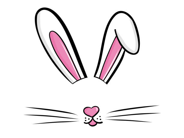 ilustrações, clipart, desenhos animados e ícones de ilustração vetorial de coelho de coelhinho da páscoa desenhada à mão. rosto de coelho, orelhas e focinho minúsculo com bigodes isolados no fundo branco - easter rabbit easter bunny cartoon