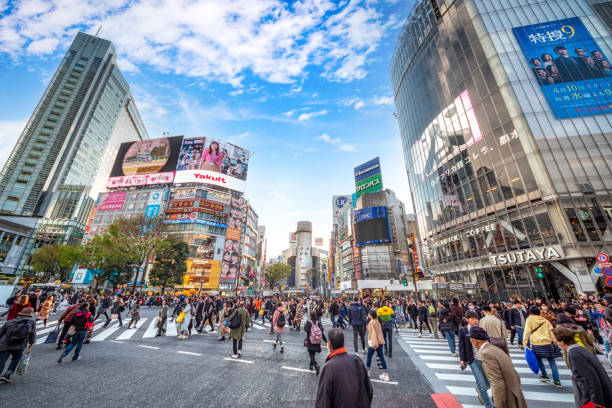 View Shibuya Crossing at sunset Tokyo, Japan Pedestrians crossing the street at Shibuya at sunset Tokyo, Japan shibuya district stock pictures, royalty-free photos & images