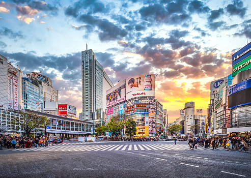 Pedestrians waiting at the traffic light to cross the street at Shibuya Crossing at sunset Tokyo, Japan
