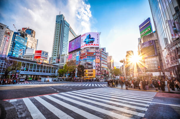 View Shibuya Crossing at sunset Tokyo, Japan Pedestrians waiting at the traffic light to cross the street at Shibuya Crossing at sunset Tokyo, Japan tokyo crowds on the famous shibuya crossing japan stock pictures, royalty-free photos & images