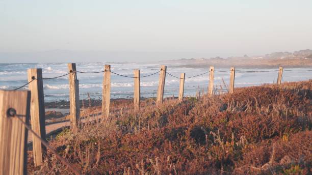istock Ocean beach sandy dunes, California coast flora. Trail path, wooden boardwalk. 1386868280