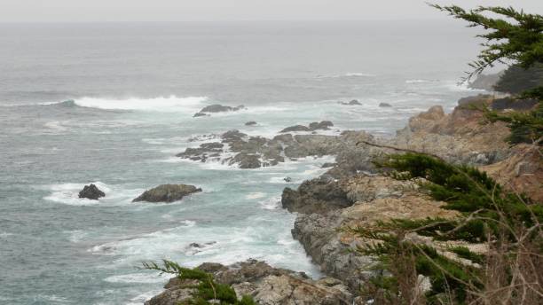 océano rocoso y escarpado, clima brumoso. olas rompiendo en la playa. california, big sur. - big sur cypress tree california beach fotografías e imágenes de stock