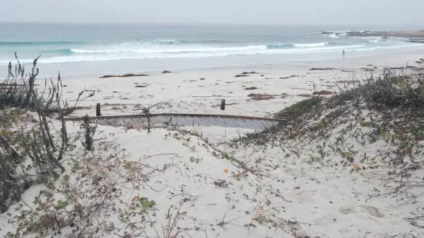 Photo of Ocean beach sandy dunes, California misty coast. Foggy rainy weather, cold sea.