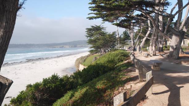 istock Path, trail or footpath, ocean beach, California coast. Waterfront pine cypress. 1386872924