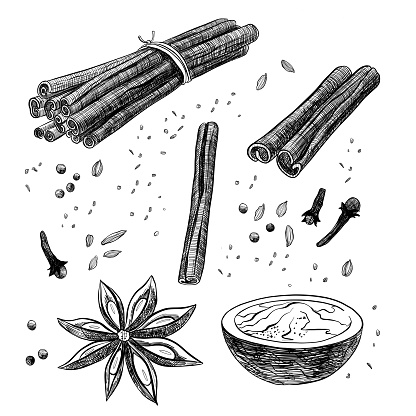 black and white illustration cinnamon sticks star anise pepper cloves salt in a cup spices liner or pencil