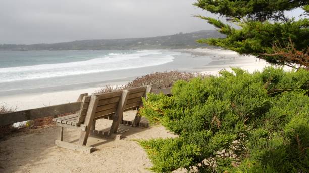 istock Empty wooden bench, rest on footpath trail. Ocean beach, California coast, trees 1386873128