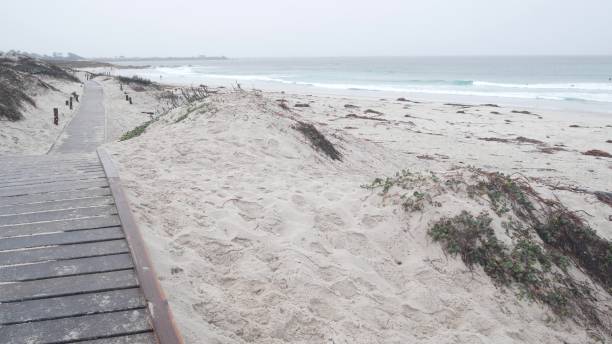 dune sabbiose della spiaggia oceanica, costa nebbiosa della california. tempo piovoso nebbioso, mare freddo. - pebble beach california foto e immagini stock