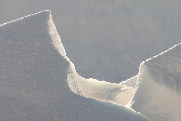 Icebergs floating over sea in polar circle, forms and textures