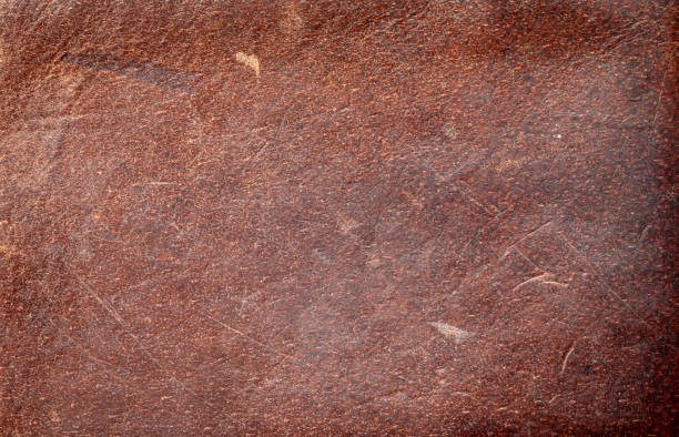istock texture of brown raw leather background 1386877542