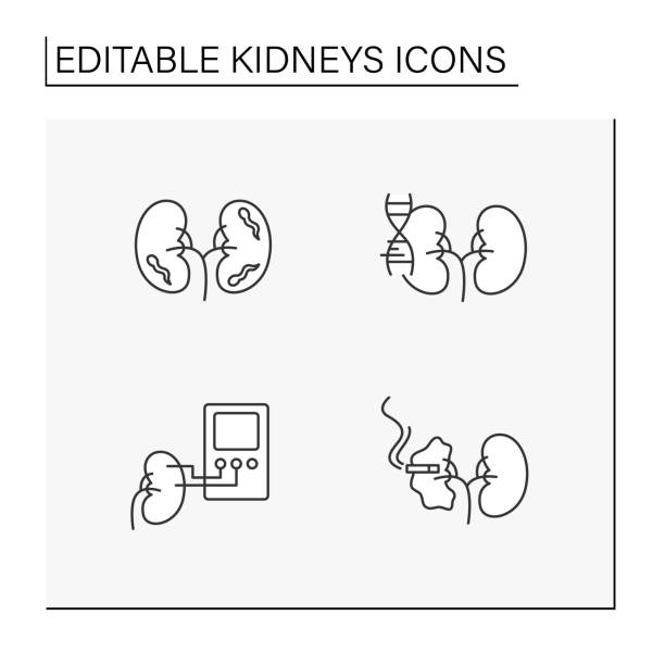 illustrations, cliparts, dessins animés et icônes de ensemble d’icônes de ligne de rein - dialyse