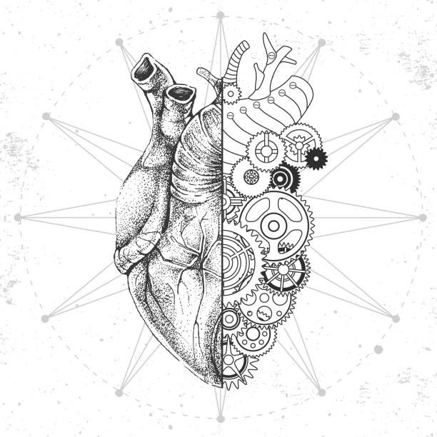 Realistic and punk style human heart illustration. Human heart silhouette with gears. Vector illustration Realistic and punk style human heart illustration. Human heart silhouette with gears. Vector illustration human heart sketch stock illustrations