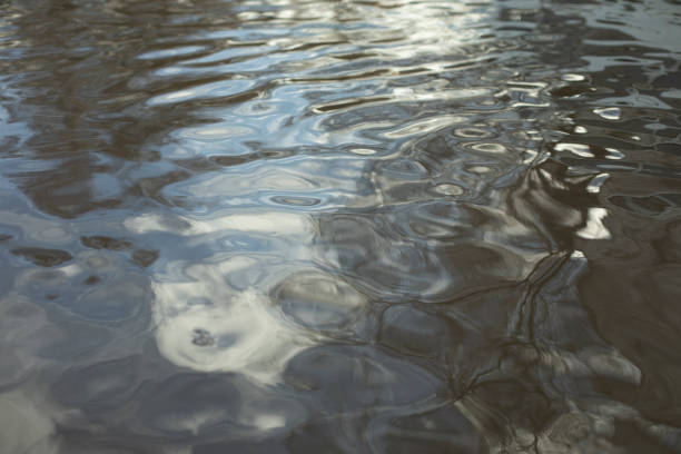 Water in spring. Texture of surface of water. Puddle is in details. stock photo