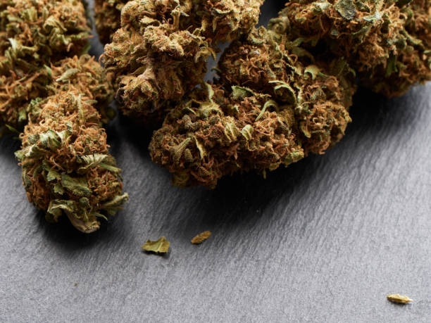 istock legal Cannabis 1386882580