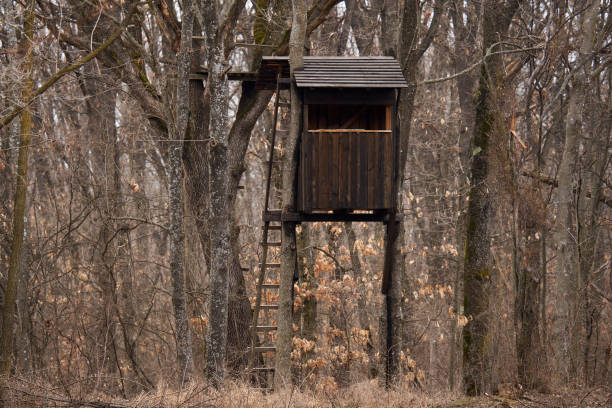 istock Hunting shelter in the forest 1386886878