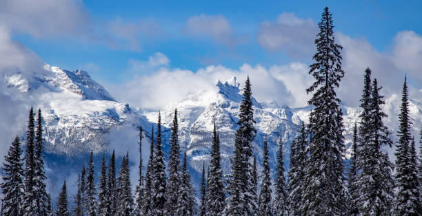 Revelstoke Mountain ski resort in British Columbia, Canada Alpine skiing in British Columbia revelstoke stock pictures, royalty-free photos & images