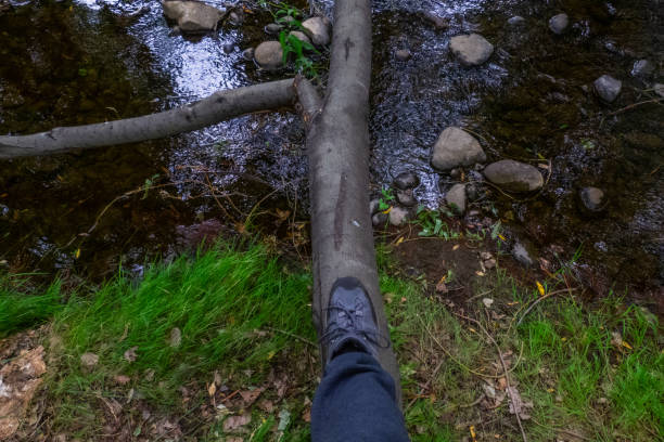 istock a person putting a foot on a tree to cross a river 1386890449