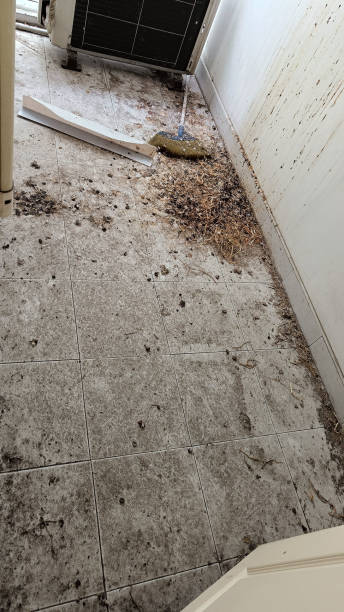 istock Pigeon feces droppings be stained on the tiled balcony 1386892675